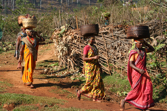 Adivasi-Tour5   2750_4988.jpg