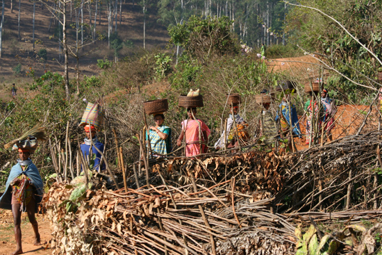 Adivasi-Tour5 Adivasi-women on the way to the weekly market in Sogura,a 15 till 25 km. walk Adivasi-vrouwen onderweg naar de weekmarkt in Sogura,een wandeling van 15 tot 25 km 2780_5006.jpg