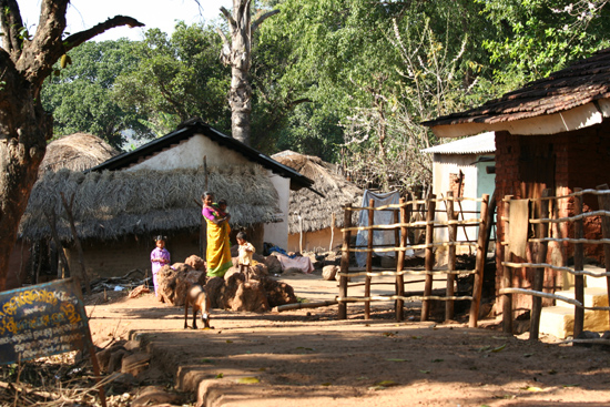 Adivasi-Tour6  Opnieuw een leuk Adivasi-dorpje in de binnenlanden van Orissa 2910_5148.jpg