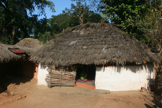 Adivasi-Tour6   2930_5156.jpg