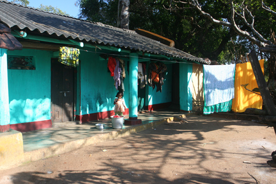 Adivasi-Tour6 Streetlife Kleurig straatbeeld 2950_5166.jpg