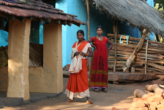 Adivasi-Tour6   3030_5239.jpg