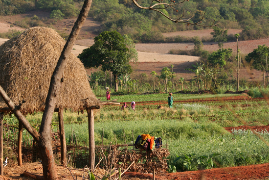 Adivasi-Tour6   3040_5242.jpg