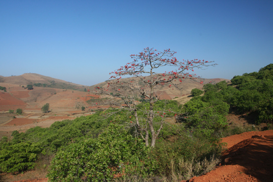 Adivasi-Tour7   3080_5305.jpg