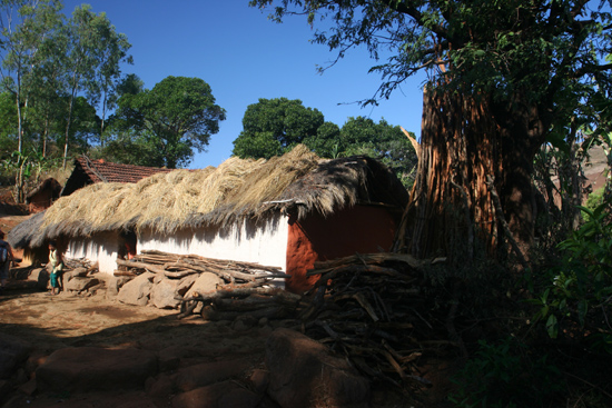 Adivasi-Tour7 Adivasi houses Adivasi huizen 3110_5317.jpg