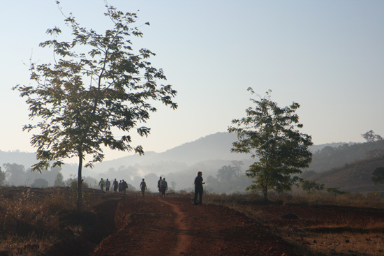 Adivasi-Tour8 Early in the morning: a  nice walkDew in the hills Vroeg uit de veren voor een mooie wandelingDe dauw hing nog tussen de heuvels 3220_5429.jpg