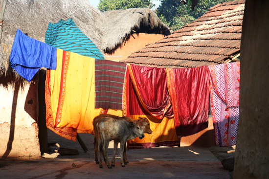 Adivasi-Tour8 Saris hanging at the clothes-line Sari's aan de waslijn 3260_5453.jpg