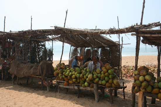 Konark Fruit for sale on the beach of Konark Fruitstalletje op het strand van Konark 4030_6132.jpg