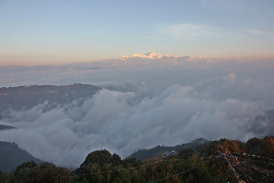Darjeeling <br><br> 0070_3364.jpg