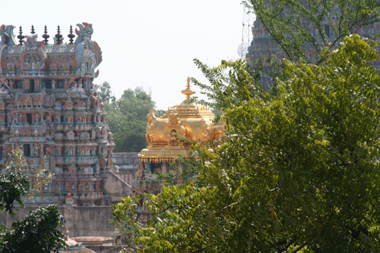 Madurai Het dak van de Golden Tempel IMG_6683.jpg