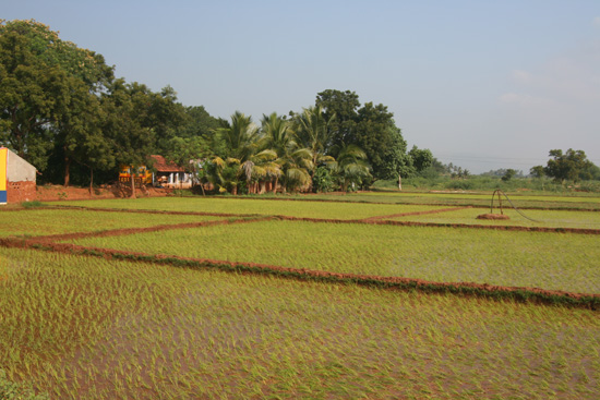 Periyar  IMG_6868.jpg