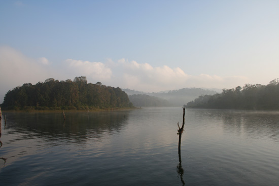 Periyar  IMG_7007.jpg