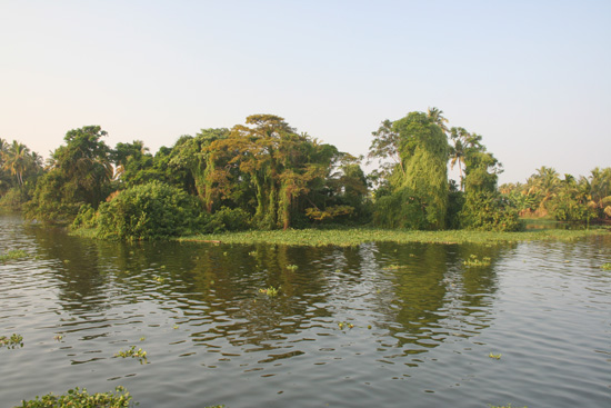 Backwaters Start van de tour per houseboat IMG_7083.jpg