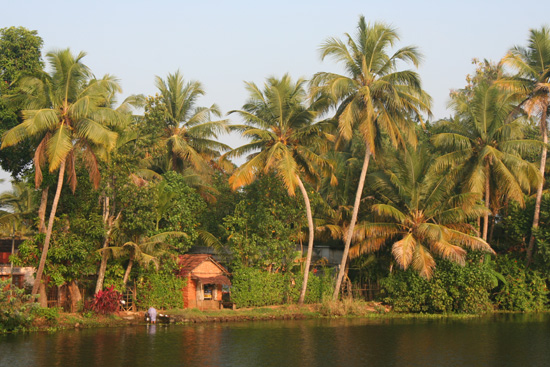 Backwaters  IMG_7188.jpg