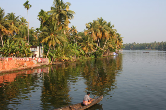 Backwaters  IMG_7218.jpg