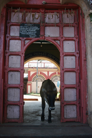 Cochin Streetlife IMG_7525ps.jpg