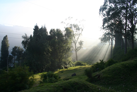 Ooty De laatste zonnestralen van de dag IMG_7765.jpg