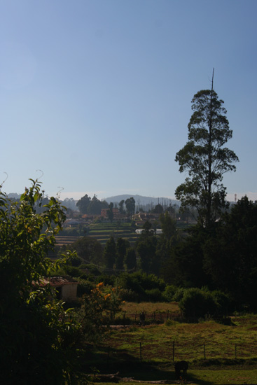 Ooty  IMG_7892.jpg