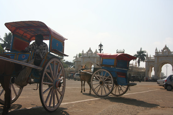 Mysore Paardentaxi IMG_8141.jpg