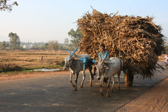 Hampi Vroeg in de ochtend naar Hampi en direct mooi plaatje, IMG_8755.jpg