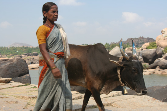 Hampi Niet alleen historie, het dagelijks leven gaat nog gewoon door IMG_8848.jpg