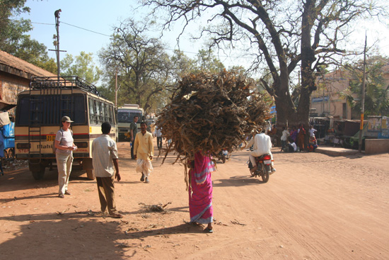 Badami Knappe prestatie: enorme takkenbos op het hoofd IMG_9137.jpg