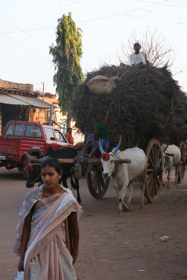 Badami Streetlife - zwaar beladen ossekar IMG_9223.jpg