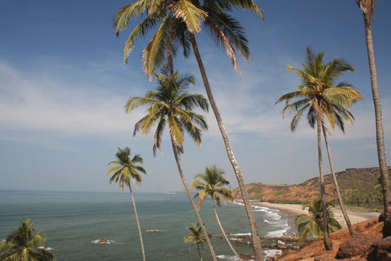 Goa  IMG_9407.jpg