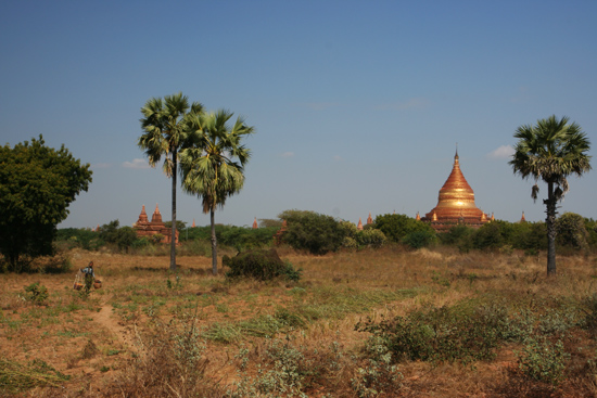 Bagan1 Bagan landschap   1840_6041.jpg