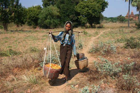 Bagan1 Bagan landschap   1850_6044.jpg