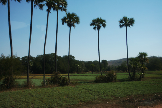 Kalaw1 Landschap tijdens de busrit naar Kalaw   2490_6425.jpg