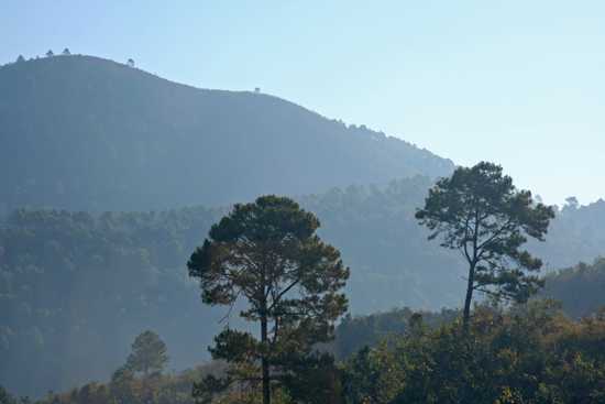 Kalaw1 Trekking langs de dorpen van de bergvolkeren   2520_6450.jpg