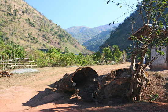 Kalaw1 Trekking langs de dorpen van de bergvolkeren Oude holle boomstammen   2560_6473.jpg