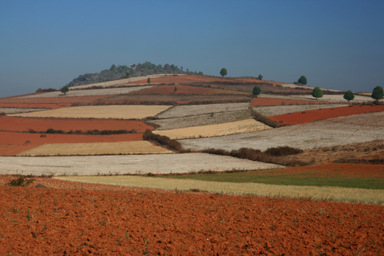 Pindaya Onderweg naar Inle Kleurige akkers op de hellingen van de heuvels   2851_6779.jpg