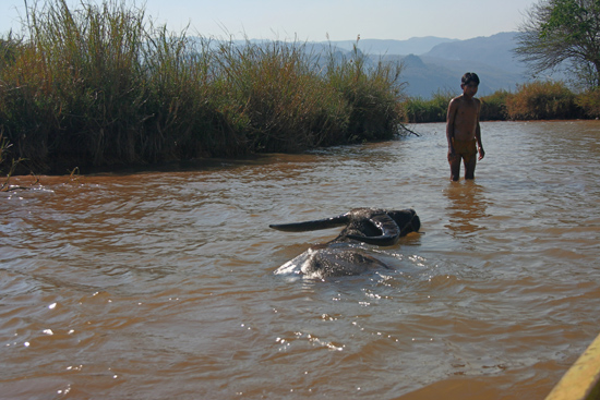 Inlemeer1 Inle lake Na gedane arbeid even zwemmen   3110_7226.jpg