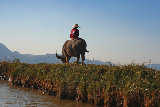 Inlemeer1 Inle lake Streetlife   3120_7518.jpg