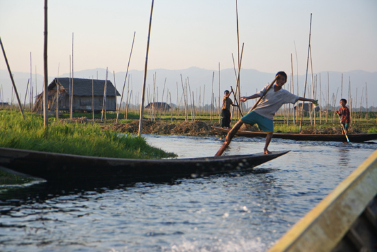 Inlemeer1 Inle lake Beenroeier
   3330_7351.jpg