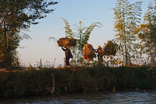 Inlemeer1 Inle lake Werk op het land   3340_7557.jpg