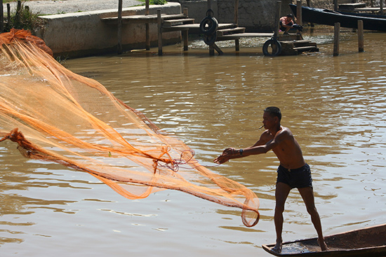 Inlemeer2 Inle meer - Nyaungshwe Visser gooit zijn netten uit
   3450_7452.jpg