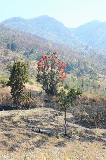 Inlemeer2 Inle meer Hill station   3630_7703.jpg