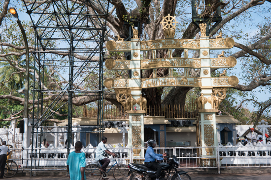 Kalutara Chaitya stupa-0030