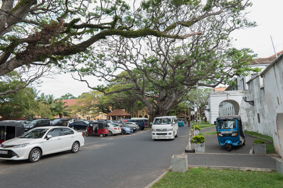 Galle-0430