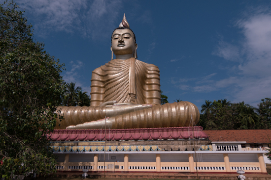 Kotte Wewurukannale - tempel-0850