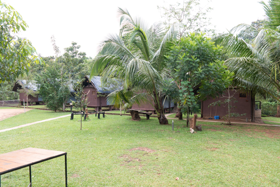 Udawalawe Athgira River-Camp Een nachtje in een tented-camp maar helaas, juist nu heel veel regen-1650