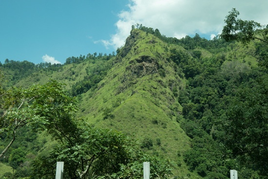 Onderweg naar Nuwara-Eliya-1780