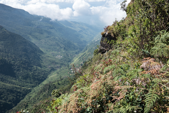 Horton Plains Uitzichtpunt End of the world -1960