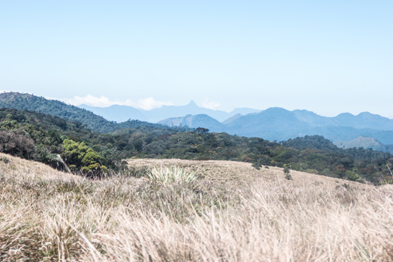 Little Adam's Peak bij Horton Plains-1970