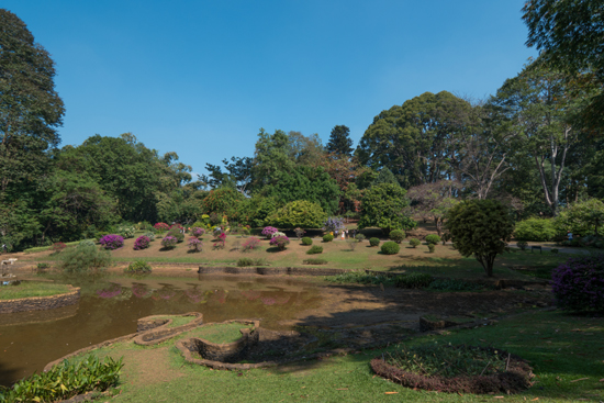Kandy - Paradeniya Royal Botanic garden-2050