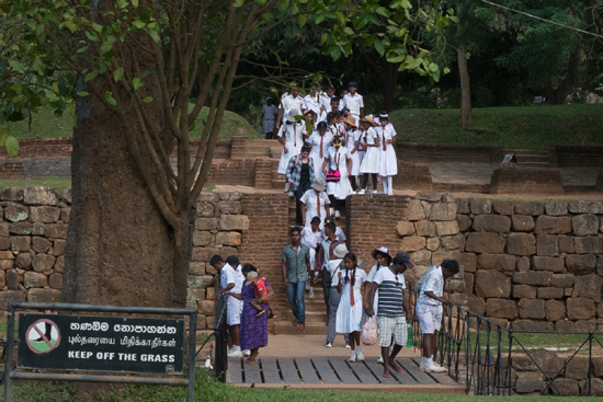 Sigiriya Leeuwenrots-2580