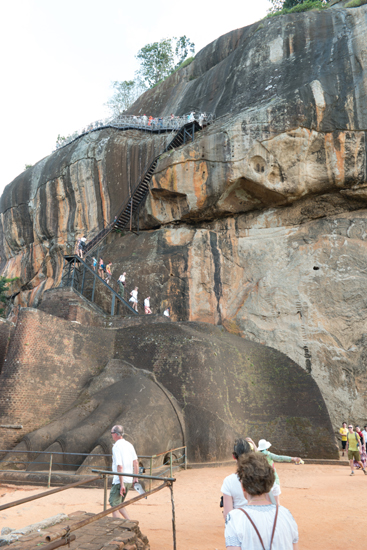 Sigiriya Leeuwenrots-2620